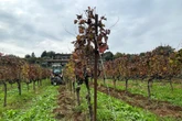 pochi secondi faI trattori nei vigneti si sono evolutiE in Italia siamo bravi a farli, con aziende che investono moltissimo in ricerca e sviluppo