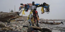 I divieti all’uso dei sacchetti di plastica a qualcosa servonoUno studio negli Stati Uniti ha rilevato una minore crescita della loro presenza nelle coste marine e fluviali rispetto ai posti senza divieti