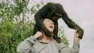 2 minuti faCinque cose scoperte da Jane GoodallA partire dall'osservazione dei primati, e in particolare degli scimpanzé, rivoluzionarono lo studio del comportamento animale