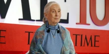 pochi secondi faÈ morta l’attivista e scienziata Jane GoodallFu la prima persona a studiare gli scimpanzé nel loro ambiente