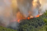 3 minuti faSono in corso grossi incendi nel Gargano e in Molise