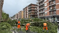 3 minuti faUn tornado a RomaAll'ora di punta, con un sacco di macchine in giro, un evento meterologico estremo e imprevisto ha causato molti danni, ma nessuno è rimasto ferito in modo grave