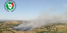 3 minuti faÈ in corso da oltre 24 ore un grosso incendio in provincia di Grosseto