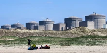 2 minuti faDelle meduse hanno causato lo spegnimento di una centrale nucleare in FranciaHanno intasato i sistemi di raffreddamento dei reattori, e non è il primo caso del genere