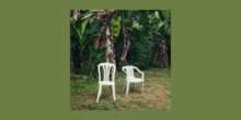 pochi secondi faUn disco di Bad BunnyCon un titolo che è anche un augurio per le vacanze