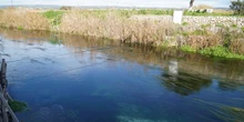 1 minuto faA Taranto non litigano solo per l’acciaio, ma anche per l’acquaDa mesi viene contestato un progetto per costruire il dissalatore più grande d'Italia, pensato per risolvere le crisi idriche