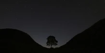 I due uomini accusati di aver abbattuto il Sycamore Gap Tree sono stati dichiarati colpevoli
