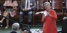 pochi secondi faÈ stata definitivamente approvata la contestata legge sui collegi elettorali del Texas