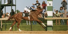 2 minuti faÈ morto Ron Turcotte, storico fantino di uno dei cavalli da corsa più forti di sempreInsieme a Secretariat divenne una celebrità sportiva e il loro record di velocità è imbattuto dal 1973