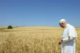 2 minuti faIl Vaticano vuole produrre la sua energia elettricaC’è un progetto per costruire un impianto agrivoltaico in un territorio fuori Roma grande dieci volte lo Stato della Chiesa