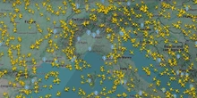 Un problema tecnico sta impedendo l’atterraggio e il decollo degli aerei in diversi aeroporti del Nord ItaliaIl traffico aereo è del tutto fermo in Liguria, Piemonte e Lombardia, con gravi ritardi