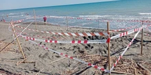 4 minuti faIl padre del ragazzo morto scavando una buca in spiaggia a Montalto di Castro, nel Lazio, è indagato per omicidio colposo
