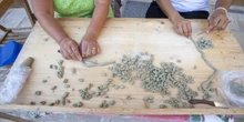 pochi secondi faLe nuove proteste delle pastaie di Bari VecchiaContro i sequestri e le regole sanitarie per la vendita delle orecchiette; stavolta c'è stata baruffa con alcuni giornalisti locali