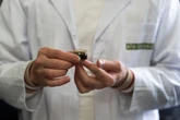 1 minuto faCi sono controlli in tutta Italia su chi assume cannabis terapeuticaUn'indagine dei carabinieri partita da una farmacia dell'Emilia-Romagna, e su cui ancora si sa poco, sta generando allarme tra i pazienti