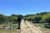2 minuti faIn Calabria c’è anche chi aiuta i lavoratori migrantiNella stessa zona in cui quattro braccianti sono stati bruciati vivi, alcune aziende e associazioni hanno trovato un modo per togliere potere ai caporali