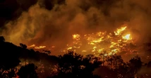 1 minuto faPiù di 3mila persone sono state evacuate a causa di un grosso incendio sull’isola di Creta