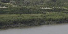 Ci sarà un nuovo ponte tra Russia e Corea del NordServirà a favorire il passaggio di merci e persone, e a rafforzare i rapporti sempre più stretti tra i due regimi