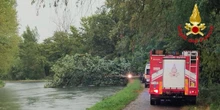 2 minuti faNel milanese ci sono stati forti temporali, e una donna è morta schiacciata da un albero