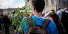 pochi secondi faCome sta andando la legalizzazione della cannabis in GermaniaNon come sperava il centrosinistra quando l'ha approvata un anno e mezzo fa, anche perché la nuova legge ha creato alcune grosse storture