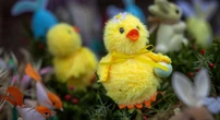 La Pasqua, spiegataPerché si celebra ogni anno in un giorno diverso, perché cambia a seconda della confessione e cosa c'entrano conigli e uova di cioccolato