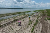 3 minuti faÈ quasi certo che arriverà presto un nuovo El NiñoCioè il periodico fenomeno di riscaldamento di parte dell'oceano Pacifico che causa grandi stravolgimenti al clima e grandi danni economici