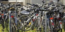 pochi secondi faSi può fare la multa a chi lega la bici dove capitaPer esempio a pali, ringhiere, lampioni, cancelli o panchine: lo ha detto il Consiglio di Stato esprimendosi su un ricorso al regolamento di Cagliari