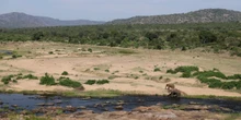 pochi secondi faIl parco Kruger in Sudafrica, famoso per i safari, cambierà nome?Ne sta discutendo la politica locale, perché l'uomo a cui è intitolata la riserva è per molti un simbolo del colonialismo