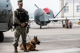 3 minuti faQuali sono questi accordi sulle basi americane che Meloni chiede a Trump di rispettareRisalgono al 1954 e stabiliscono cosa può fare l'esercito statunitense in autonomia e quando invece serve il permesso del governo italiano