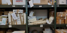 pochi secondi faUno dei più grossi sequestri di reperti antichi degli ultimi 30 anniIn una galleria d’arte di Bruxelles ne sono stati trovati quasi 300 rubati in Italia, tra ceramiche etrusche e romane, statue e bronzi