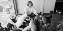 56 minuti faNon esiste che i gatti vivano il momento del pasto con leggerezzaLe nevrosi feline per il cibo se la giocano solo con quelle dei loro umani, racconta Matteo Bordone nel suo libro “Confessioni di un gattaro”