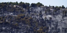 2 minuti faIl grande incendio boschivo nel sud-ovest della Francia ora è sotto controllo