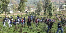 4 minuti faL’Etiopia sta provando a piantare 700 milioni di alberi in un giorno