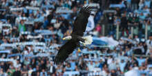 Le aquile che volano negli stadi, parliamoneHa fatto molto discutere la storia del falconiere della Lazio, che prima della protesi al pene si occupava di un'attività piuttosto criticata dagli animalisti