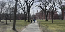 Un tribunale ha di nuovo sospeso il blocco alle iscrizioni di studenti stranieri imposto da Trump all’università di Harvard