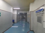 1 minuto faOra c’è il sospetto che la donna di 50 anni e la figlia di 15 anni morte a Campobasso a fine dicembre siano state avvelenate