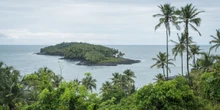 Il governo francese costruirà una prigione in mezzo alla foresta amazzonicaNella Guyana francese, dove un tempo c'era il famigerato carcere dell'isola del Diavolo