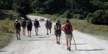 In Italia sono aumentati i cammini e i camminatoriOltre alla Via degli Dei e alla Francigena, sono stati aperti e scoperti sentieri nuovi e c'è tutta un'economia attorno