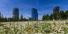 pochi secondi faCome è arrivata Coima a costruire mezza MilanoBreve storia dell'azienda più coinvolta nelle inchieste sull'urbanistica, che ha indirizzato lo sviluppo della città tra successi e critiche