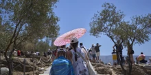 Non fa caldissimo solo in ItaliaLe temperature sono vicine ai 40 gradi anche in molti altri paesi europei come Spagna, Grecia e Francia