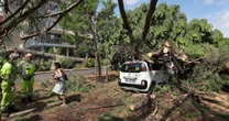 2 minuti faIl forte temporale in Romagna ha fatto cadere più di 250 alberiTutti a Milano Marittima, dove sono state distrutte molte auto: colpa dei venti ma anche delle piogge dei giorni precedenti