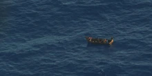 3 minuti faC’è stato un grosso naufragio a Lampedusa, ci sono decine di mortiLe operazioni di recupero sono in corso e le informazioni sono ancora molto parziali