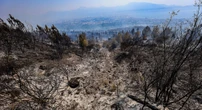 5 minuti faL’incendio sul Vesuvio è stato spentoHa bruciato più di 5 chilometri quadrati di vegetazione del parco nazionale del vulcano, e ci sono due indagini sulle cause