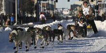 La più importante corsa di cani da slitta ha i giorni contati?L'Iditarod continua a spostarsi a nord in cerca della neve, che ormai scarseggia anche in Alaska, ed è sempre più criticata per maltrattamenti animali