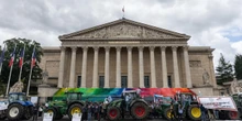 La protesta degli agricoltori francesi a favore di una legge contestata dagli ambientalistiPrevede la reintroduzione di un'insetticida che potrebbe aumentare la produzione, ma anche avere effetti negativi