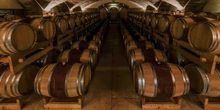 3 minuti faIn Italia c’è troppo vino invendutoE i viticoltori sono preoccupati perché, a fronte di una domanda stagnante, per il 2025 è previsto un buon raccolto e un aumento della produzione
