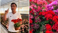 Ángel Illescas, experto en plantas, revela el truco para que el geranio no deje de dar flores todo el año : "Hay que quitarlo desde la base y preferiblemente con los dedos"