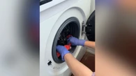 Noelia Díaz, experta en hogar: "Para limpiar la lavadora, en un cubo echo un poco de lejía y Fairy, empapo un trapo y lo pongo en la goma"