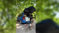 Chloe (30) vive en una furgoneta camperizada: "Yo elegí una vida más pequeña, más simple y mucho más libre, aunque quizá no sigo el camino que esperaba"
