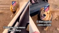 El Elche le manda un 'recado' al Atlético