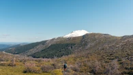 Un hombre pasea por un monte y descubre bajo un árbol un tesoro con 1.500 años de antigüedad: una vaina de oro